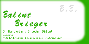 balint brieger business card