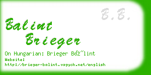 balint brieger business card